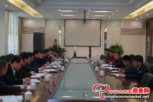 福建漳州市領(lǐng)導(dǎo)深入臺(tái)商投資區(qū)，全力推進(jìn)食用菌工廠化生產(chǎn)與投資管理工作
